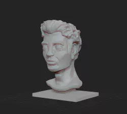 Decorative male bust