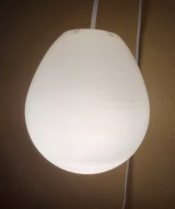 Egg Lamp Shade