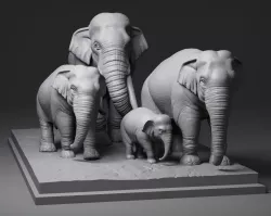 Elephant family
