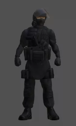 GIGN GIPN RAID POLICE GENDARMERIE SWAT BRI