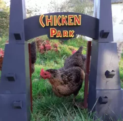 Jurassic / Chicken Park door
