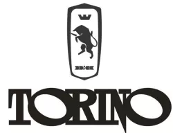 key ring torino