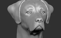 Labrador head for 3D printing