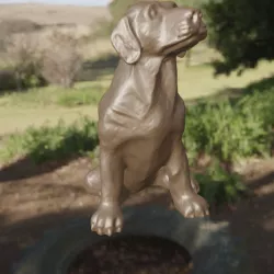 Labrador