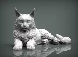 Maine Coon 3D print model