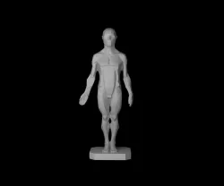 Male Planes of the Body - John Asaro