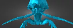 mirelurk