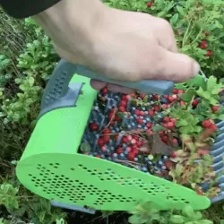 Mobile Berry Harvester 3D print V2, berry picker, garden hacks 3D printed