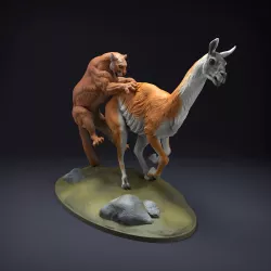 Mountain Lion Guanaco Hunt