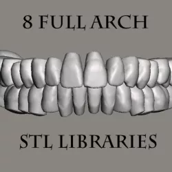 Natural Tooth Library Collection (8 models)