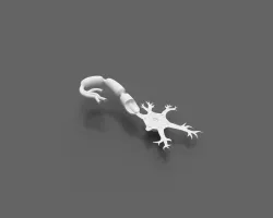 Neuron Model