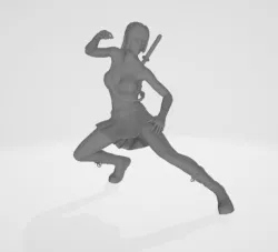 Ninja Girl v1