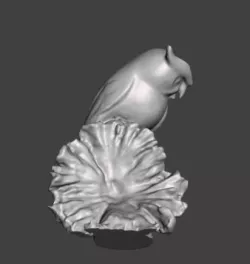 Owls - owl