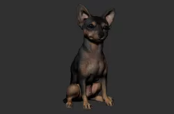 Pinscher