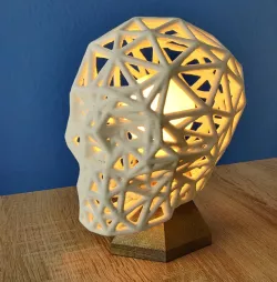 Poly Skull Lamp