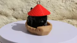 PUG CANOEING