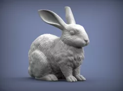 Rabbit 3D print model