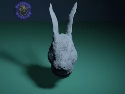 Rabbit head