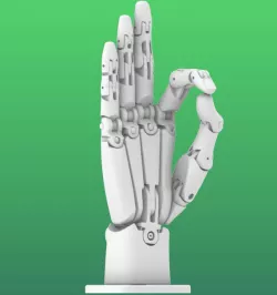 Robotic Hand