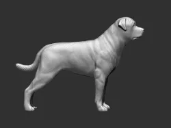 Rottweiler Model 3D printing .STL file