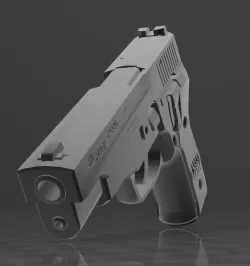 SIG SAUER P226