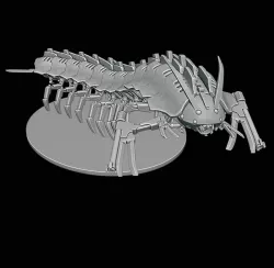 Skolopendra