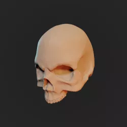 Skull