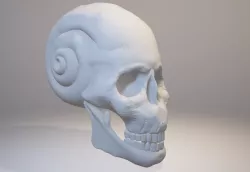Snail Skull - Golden Ratio - Abstract