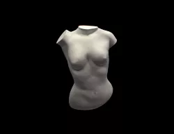 The Female Torso