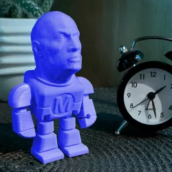 The ROCKBOT-  Rock robot