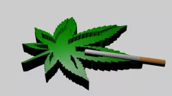 weed ashtray