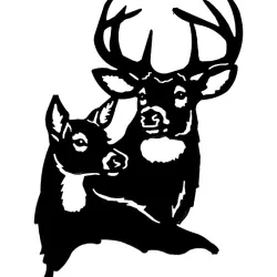 Wildlife 4