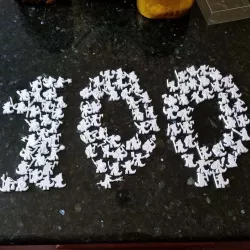 100 Kitsune Meeples