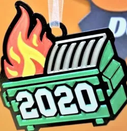 2020 in flames