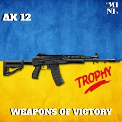 3D MODEL AK-12
