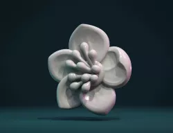 Apple flower