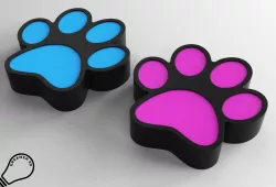 Box - Big Cat Paw