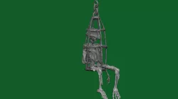 Caged Pirate Skeleton