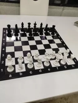 CHESS PIECES