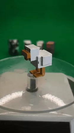 Chicken Minecraft Chicken Mob Chicken