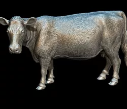 Cow