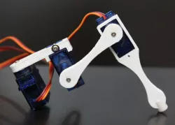 Coxa - hip joint (surface melt version)