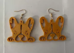 earring