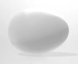 Egg (Egg)
