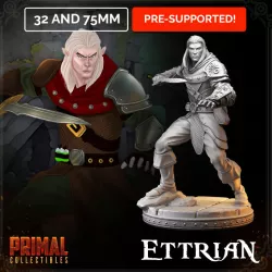 Elf - Ettrian (HeroQuest | Dungeons&Dragons)