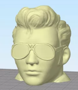 ELVIS MATT