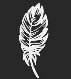 Feather