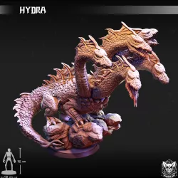 Hydra