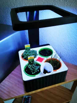 Indoor Led Garden