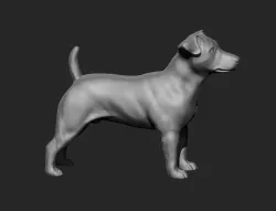 Jack Russell 3D Model .STL